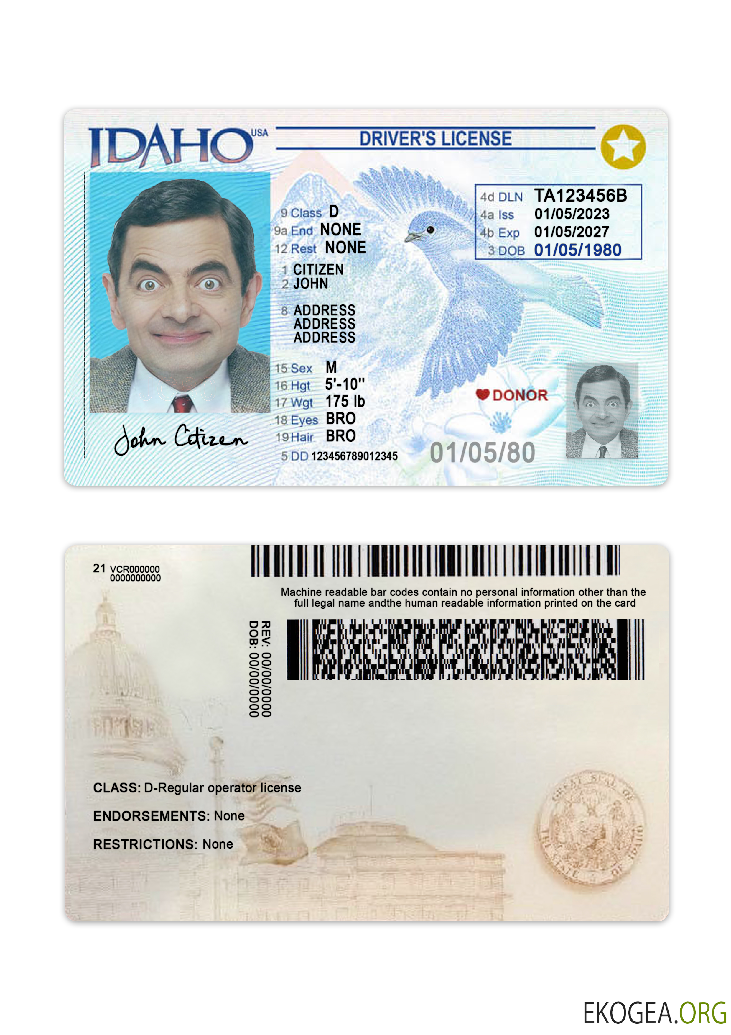 USA Idaho driving license 2023 present